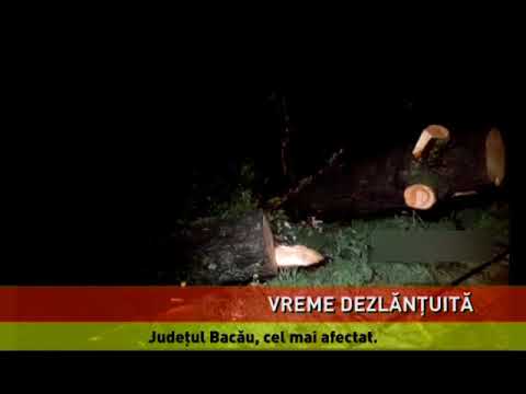 Cod galben de ploi în 19 judeţe, până vineri, la ora 21.00