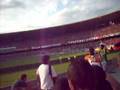 videos de flamengo e palmeiras