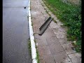 Burza - Czeremcha (11.08.2007)