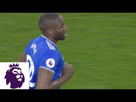 Video: Sol Bamba gets a goal back for Cardiff City against Watford | Premier League | NBC Sports