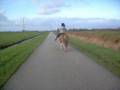 videos de Myn Allermooiste (L)