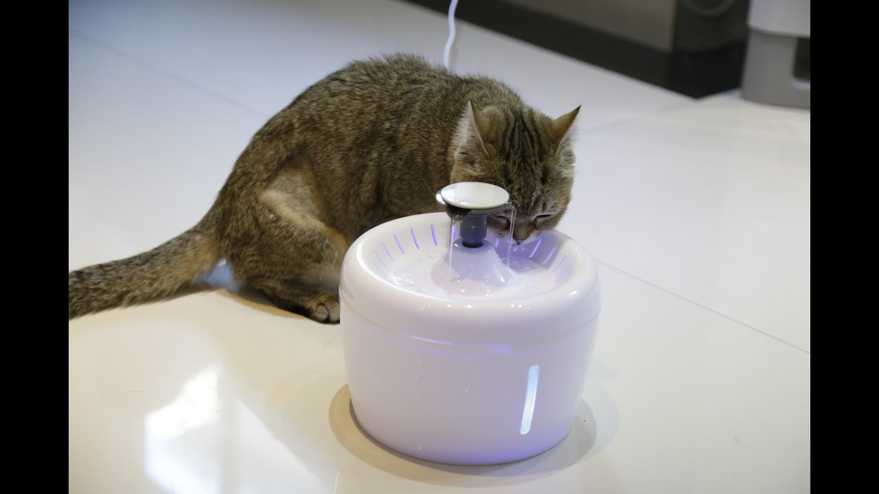 Поилка - фонтан для кошек и собак ELS-PET 2,5л
