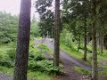 Mountain bike wipe out!
