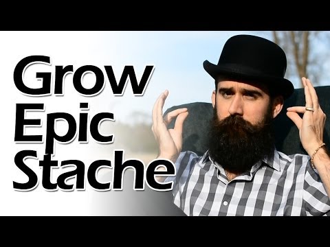 how to grow in a beard fuller