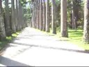 Jardim Botanico