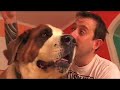 Petchievements Volume 1