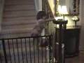 Baby Gate does me no good
