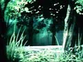 huonolaatuinen mutta koittakaa p�rj�t�. eli videon p�tk�t on otettu ginga nagareboshi gin sarjasta toisin sanoen silver fang tai hopeanuoli. musikki: tilkkut�kki 1 cd tuu mun vaimoksein - olavi uusivirta