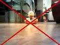 test reply to email from youtube