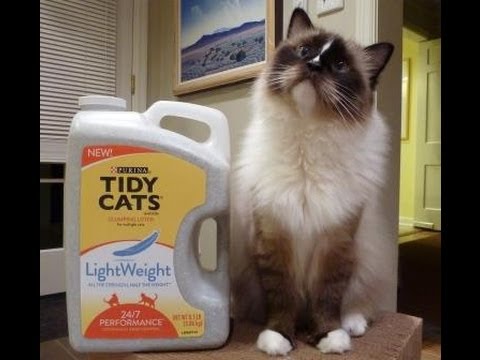 Tidy Cats Lightweight Litter Review 0 Tidy Cats Lightweight Litter Review