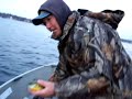 Late fall bluegills on Lake Geneva Late fall bluegills on Lake Geneva