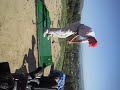 Mike Faer Golfing Lessons Mike Faer Golfing Lessons