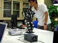 bipedal robot bipedal robot