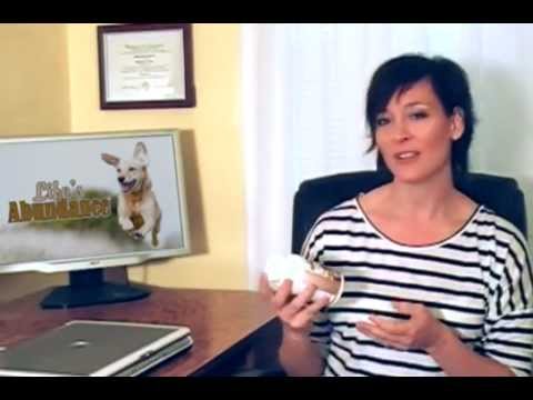 how to treat joint pain in dogs