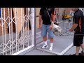 Dynamic Impact Test 