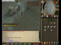 Fist Of Guthix Guide part 2