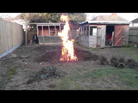 how to get rid of tree stumps quickly