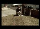 Tropfest 2007 - Verner
