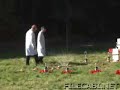 Domino Mentos and coke