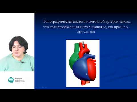 Вебинар SonoScape 19.10.2017 Рыбакова М.К.