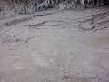 videos de MOV00792