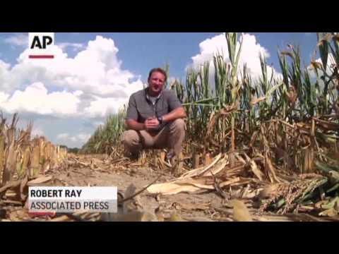 drought - The nation's widest drought in decades is spreading, with more than half of the continental United States now in some stage of drought and most of the rest e...