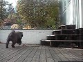 Skoj Aporteringstr�ning