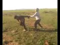 التعليق,الرياضي,في