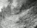 Burzum : Erblicket die Töchter des Firmaments
