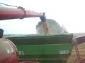 Rice Cutting