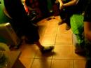 C�c� danse bar live (avec des chosure)