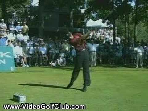luke donald swing vision. Tiger Woods#39; Perfect Swing