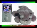 Babysitter Hidden Camera