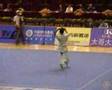 10th All China Games 2005 - CQ - Long Gang (Hubei)