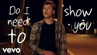 Shawn Mendes - Show You