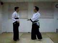 Zongyuemen Taiji Martial Art LKH
