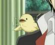 Hibird Performance