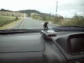 r34 gtr kalem