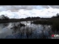 Ver Video