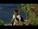 The Whistlers Of Lost The Whistlers Of Lost
