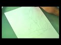 Artemis Fowl: The Graphic Novel - Making Of