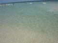 what is it?