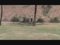 The Next Tiger Woods