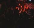 Infested + Crack Rock Steady