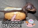 Ultra Kawaii - The Cutest Moments of 2008