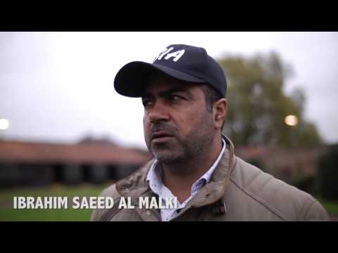 Tattersalls Autumn Horses in Training Sale 2015 Day 4