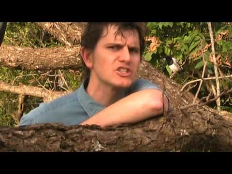 how to grow gherkins in nz