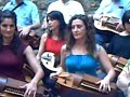 33 zanfonas