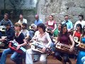 33 zanfonas