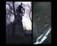 Video kontest 2007 winner